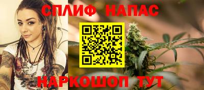шишки Донской