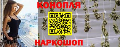шишки Донской