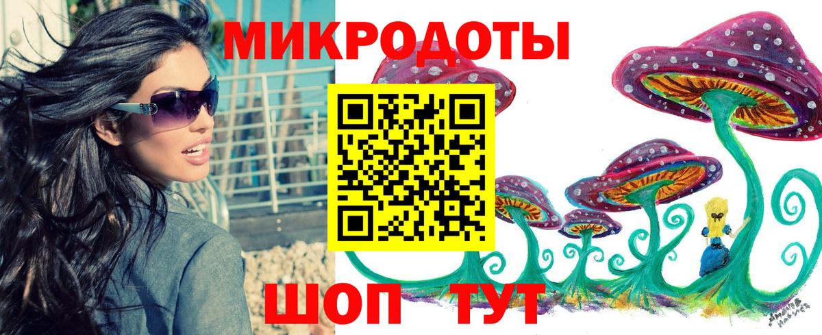 Галлюциногенные грибы Psilocybe Минеральные Воды